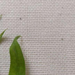 KD Woven Fabric – Sustainable Textile