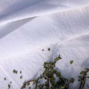 Vijaya HF Woven Fabric – Sustainable Textile