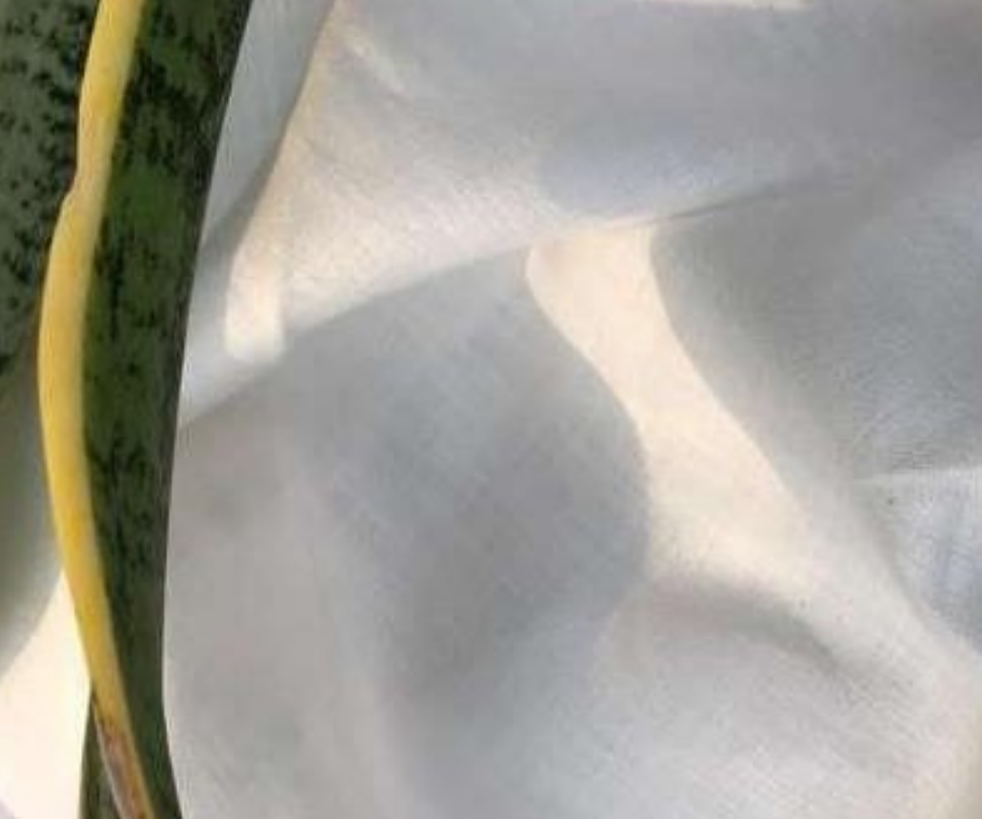 Bamboo Fabrics
