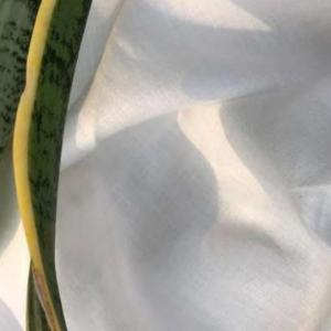 BHADRA BAMBOO (1) - WOVEN ( POWERLOOM )