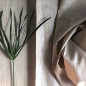 RESHMA MAN MUGA SILK