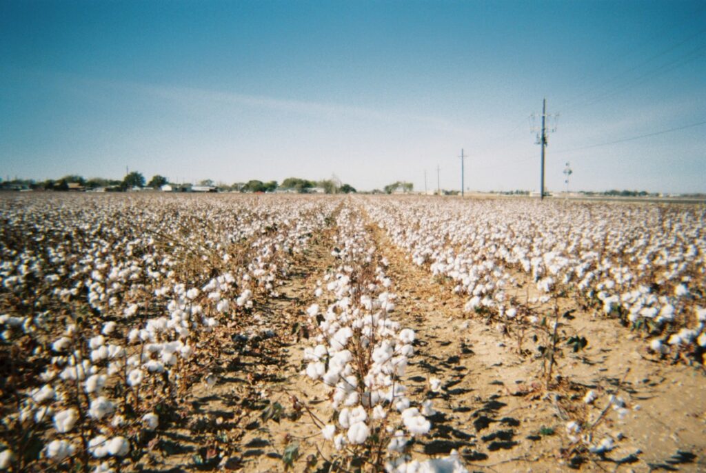 Redefining Textile Manufacturing Through Conscious Craftsmanship